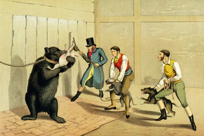 Bear Baiting by Henry Thomas Alken
